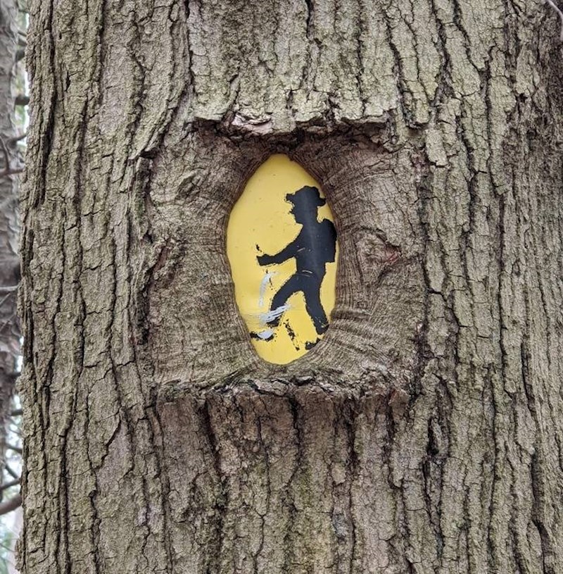 5. Drvo je progutalo znak