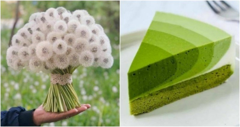 Kažu da savršenstvo ne postoji, ali ovih 17 oku ugodnih prizora opasno su mu blizu