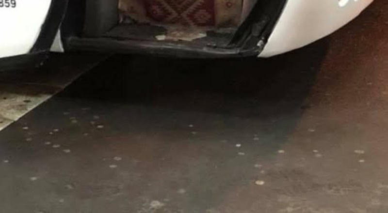 Putnik je morao fotkati i svima pokazati ulaz u autobus, ovako nešto je moguće samo na Balkanu