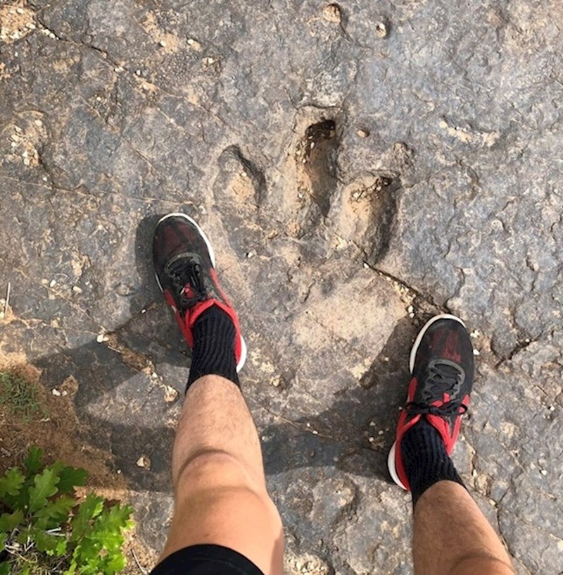 Otisak stopala životinje koja je nekad davno živjela na našem planetu...