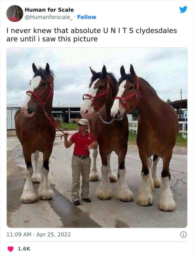3.