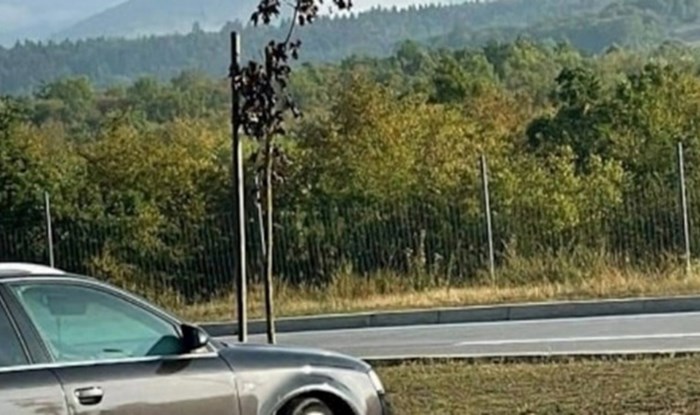 Prizor snimljen na odmorištu Janjče lajkalo je više od 4 tisuće ljudi, odmah će vam biti jasno zašto
