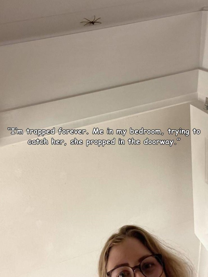 6. Pokušavam uloviti pauka, a možda on pokušava uloviti mene