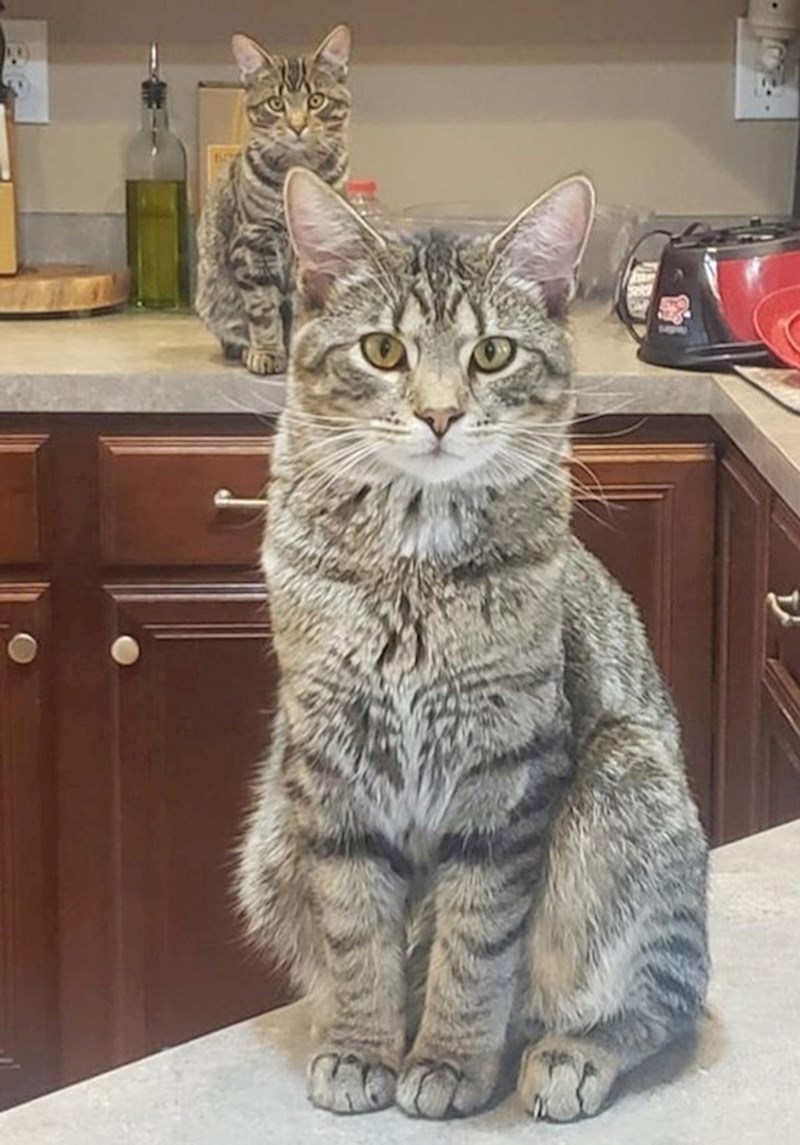 4. Pogreška u Matrixu...