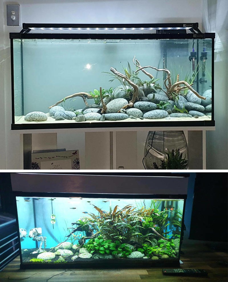 15. Preuredio sam akvarij