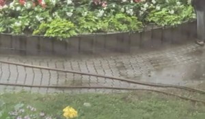 Netko je u Mađarskoj na kišni dan primijetio skroz sulud prizor, fotka je obišla cijeli svijet