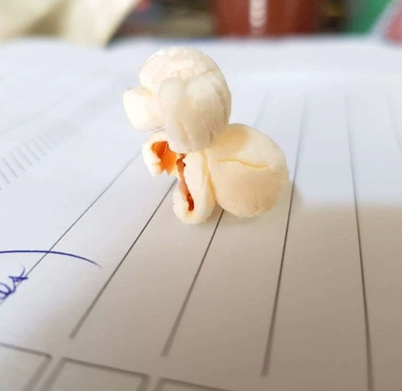 4. Kokica koja izgleda kao pudlica