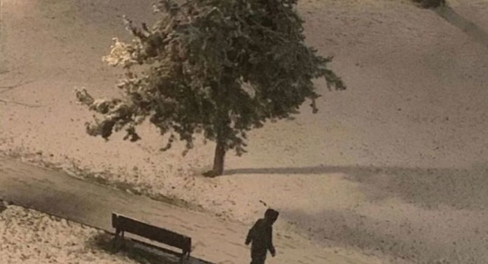 Prizor ispred dječje bolnice u Beogradu ganuo je cijelu regiju, fotka će vam otopiti srce