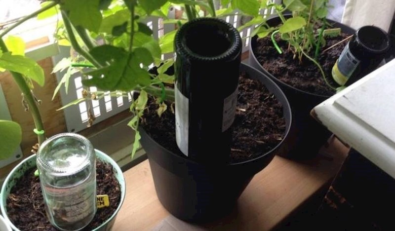 18. Super trik za one koji idu na put, a nema im tko zalijevati biljke