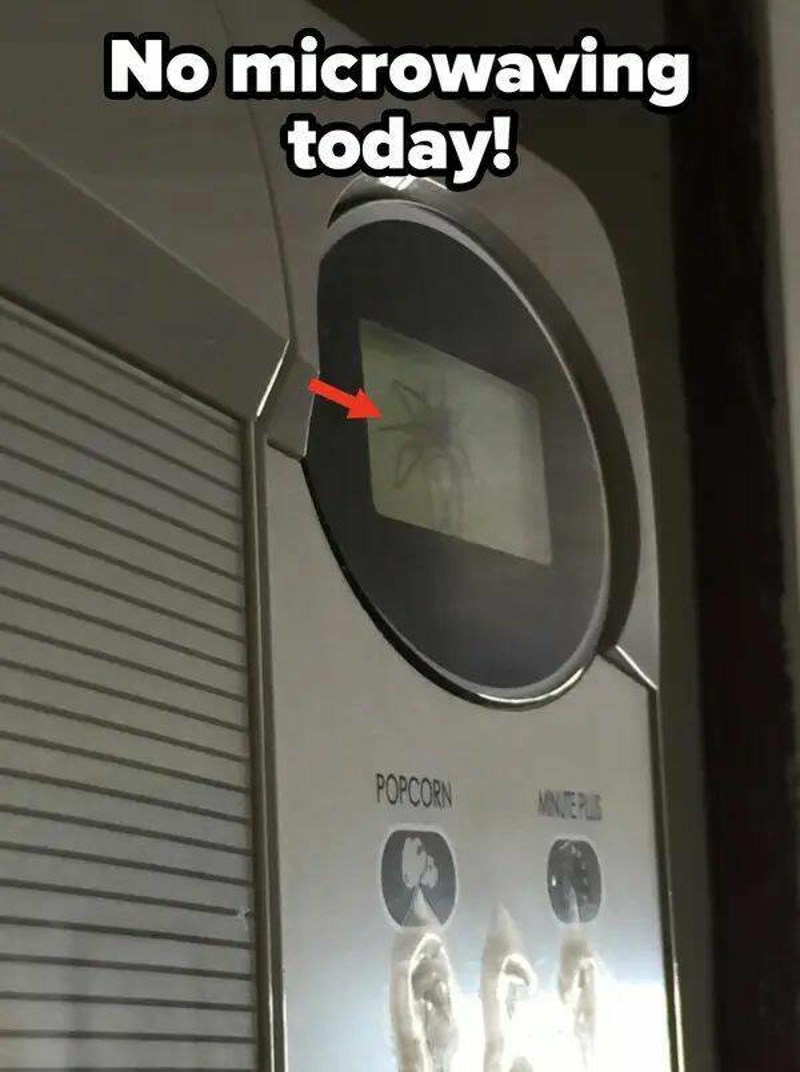 21. Ništa od korištenja mikrovalne danas