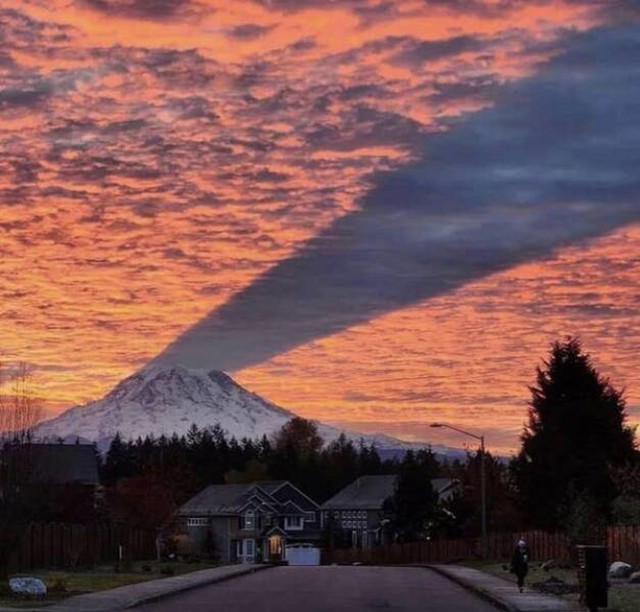 9.