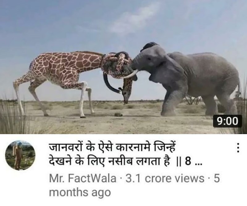 7. Čvorovi na žirafinom vratu i slonovoj surli su sve😂