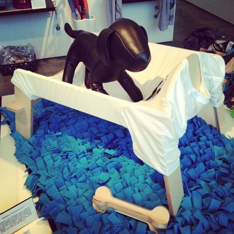 10. Hammock za ljubimce