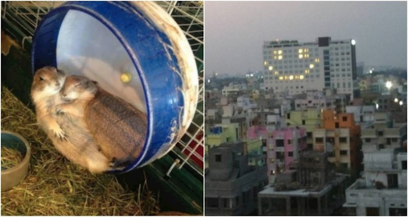 15 zanimljivih i pozitivnih iznenađenja od kojih će vas odmah preplaviti emocije