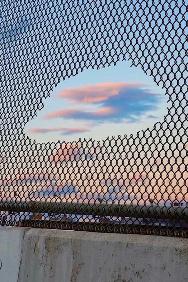 5.