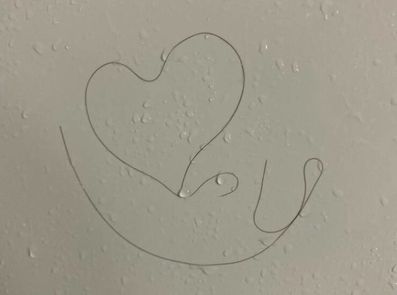 22. Cura mi je ostavila poruku od svoje dlake dok se tuširala kod mene.🤣