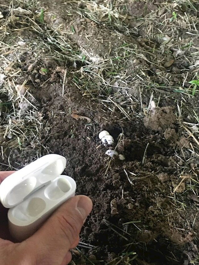 10. Tražio sam svoje slušalice tjednima. Nakon što sam napokon odustao i kupio nove, sin mi je priznao da ih je zakopao u dvorištu.