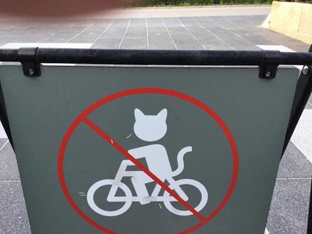 9. Vaša mačka trebat će dozvolu za vožnju bicikla u Japanu 😜