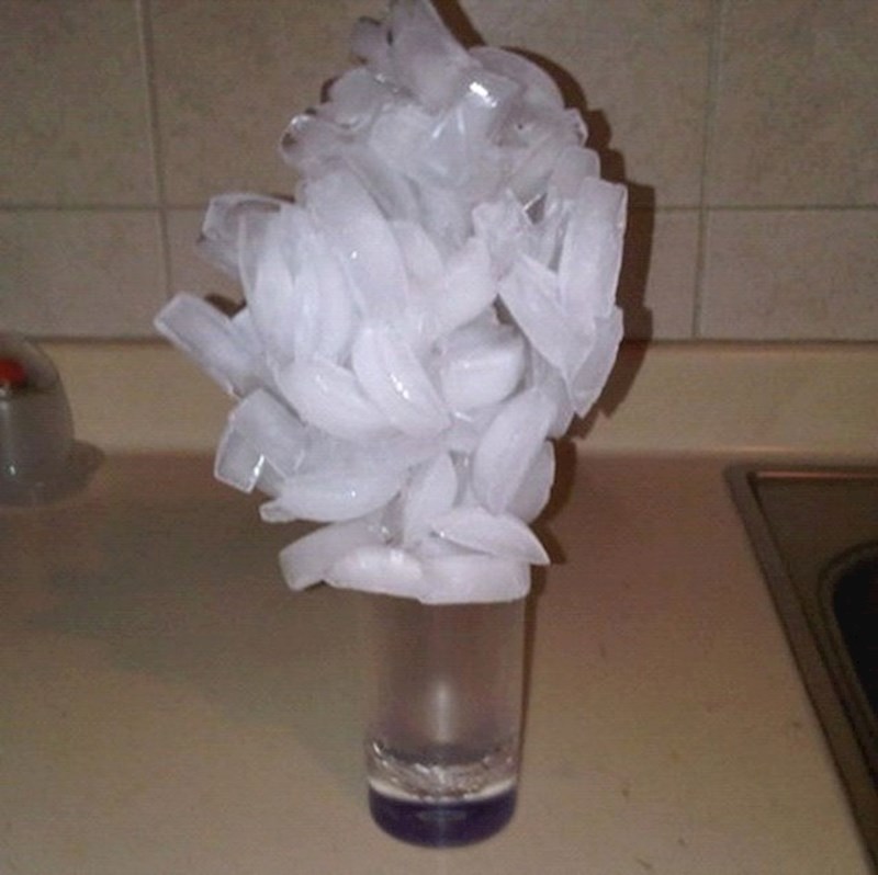 "Zamolio sam curu da mi donese čašu vode s puno leda..."