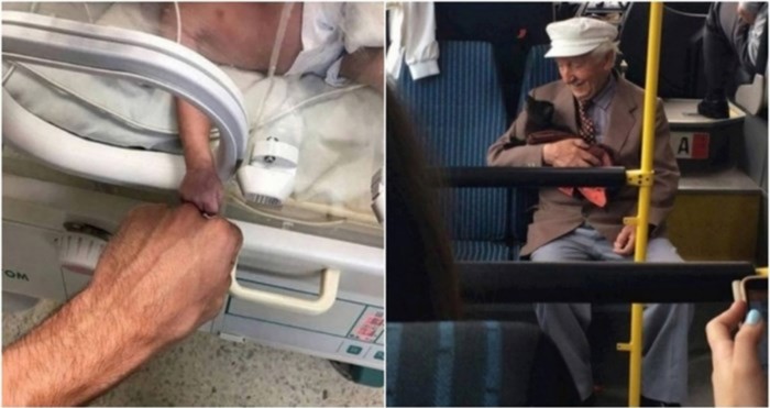 20+ viralnih fotografija kojima nije potreban baš nikakav opis