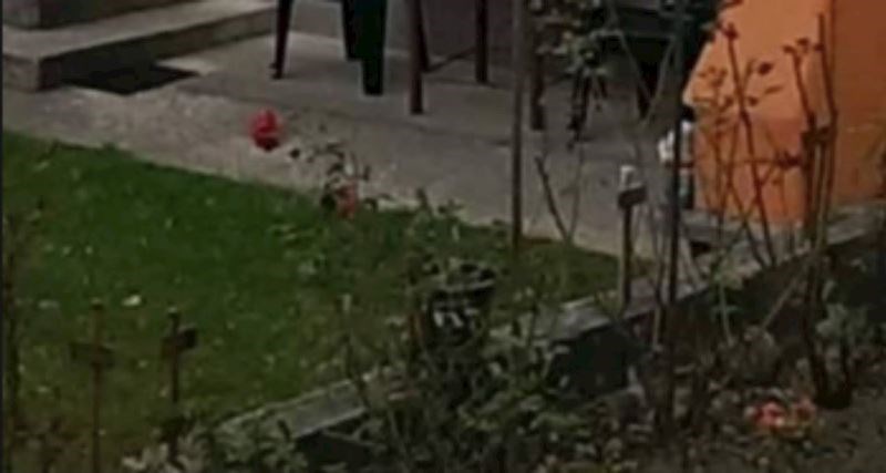 Regijom kruži bizaran prizor iz jednog dvorišta, morate vidjeti što je netko iskoristio kao stol