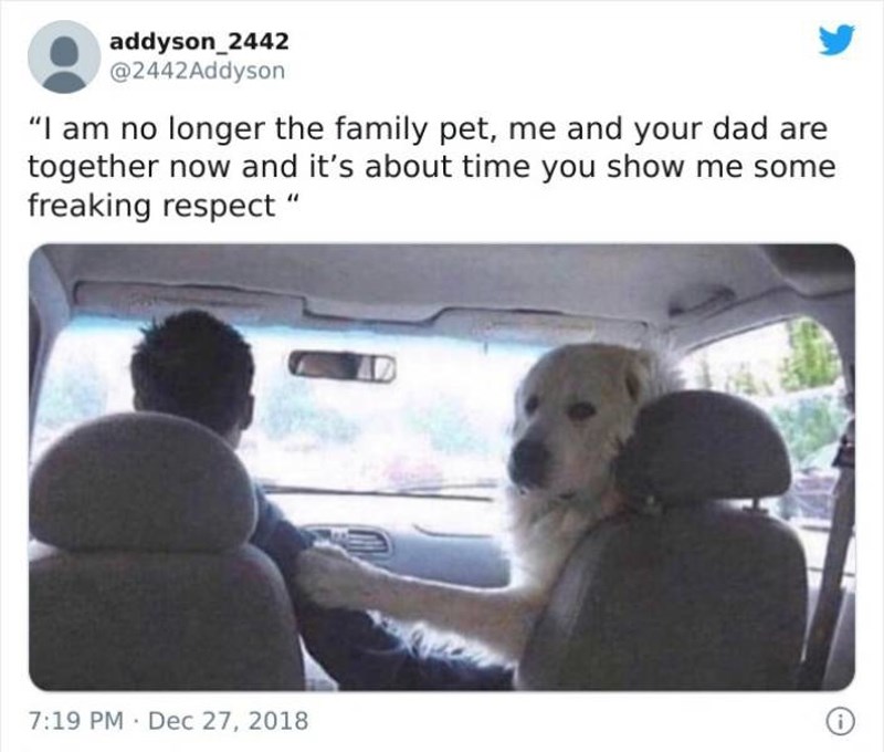 3. "Više nisam obiteljski ljubimac. Sada smo vaš otac i ja zajedno i vrijeme je da mi pokažete malo poštovanja."