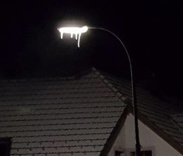 12. Ulična svjetiljka se smrznula i sad izgleda kao da se topi