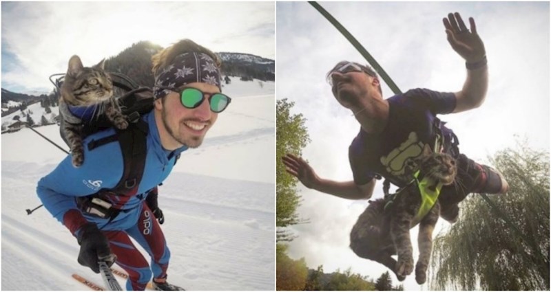 Tip je udomio mačku i sada ju vodi sa sobom na razne pustolovine, fotke su hit na Instagramu