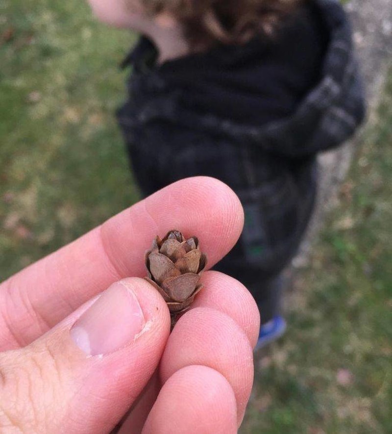 10. Moj sin misli da je ovo mali pčelinjak pun mini pčela i nikako mu ne mogu dokazati da nije