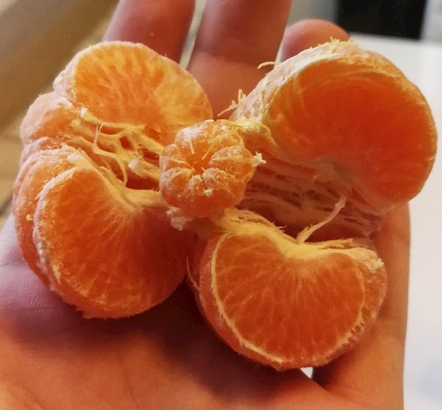 10. Mandarina unutar koje je pronađena baby mandarina