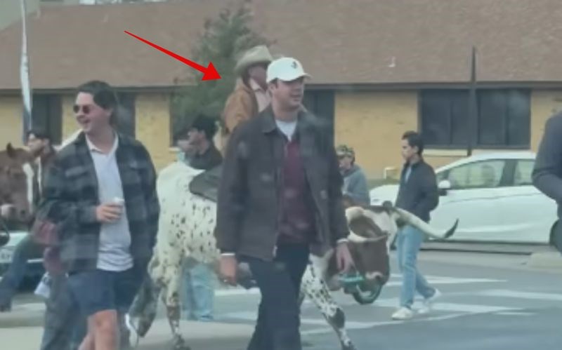 Nesvakidašnji prizor iz Texasa obišao je cijeli svijet i nasmijao milijune, morate vidjeti ovaj hit