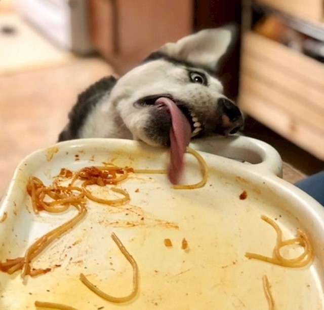 14.