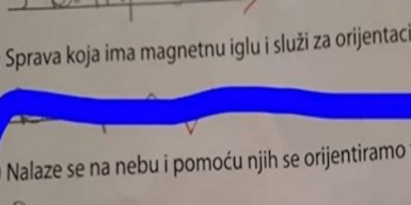 Dijete je pogrešno odgovorilo na pitanje iz testa, iskreni odgovor otkriva puno o kućnom odgoju