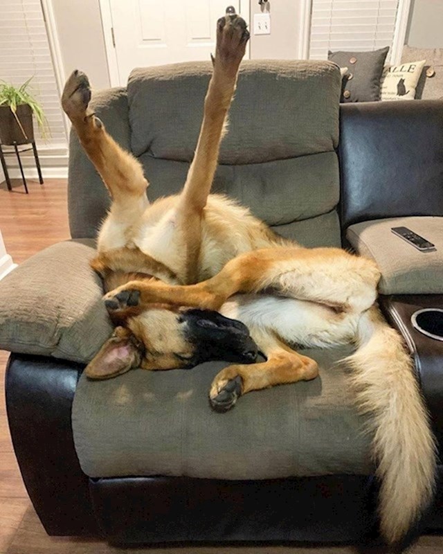15.