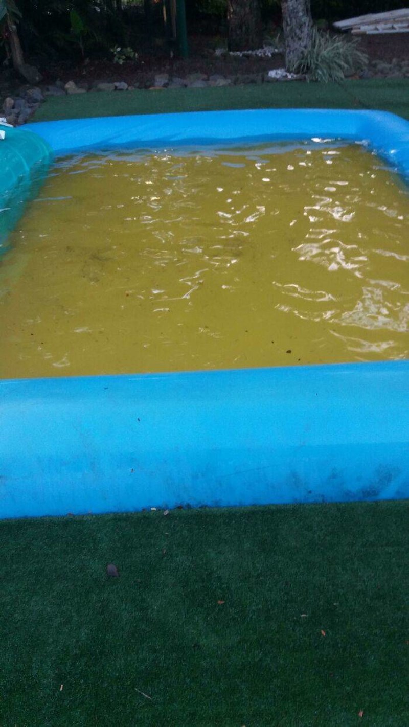 5. Bazen ima žuto dno