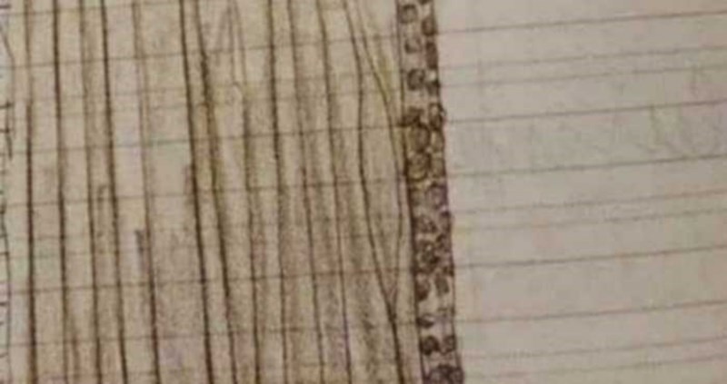 Klinac je za zadaću morao nacrtati najdraži instrument, rezultat je apsolutni hit