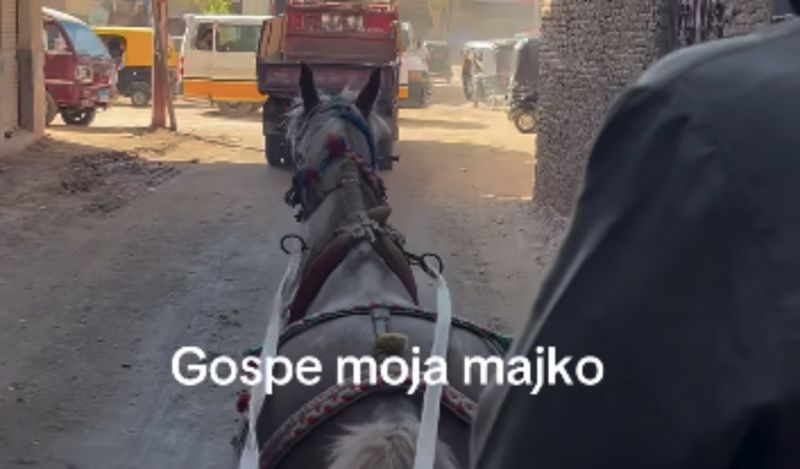 Dalmatinke su došle u Egipat i provozale se kočijom, urnebesna snimka nasmijala je cijelu regiju