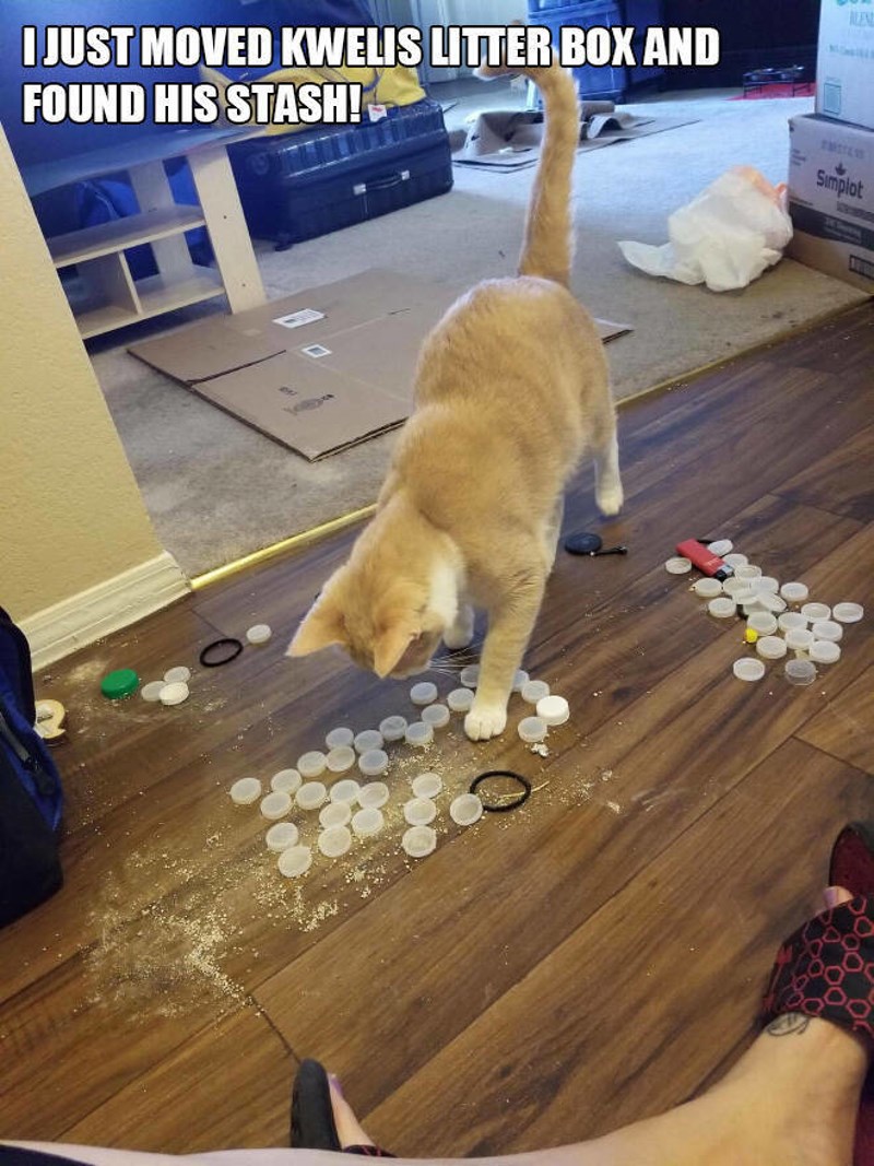 3. Upravo sam pomakla Kwelisovu kutiju s pijeskom i pronašla njegovu zalihu