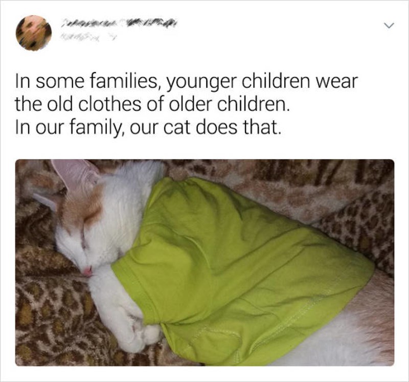 U nekim obiteljima mlađe dijete nosi odjeću starijega. U našoj obitelj, mačka nasljeđuje odjeću.