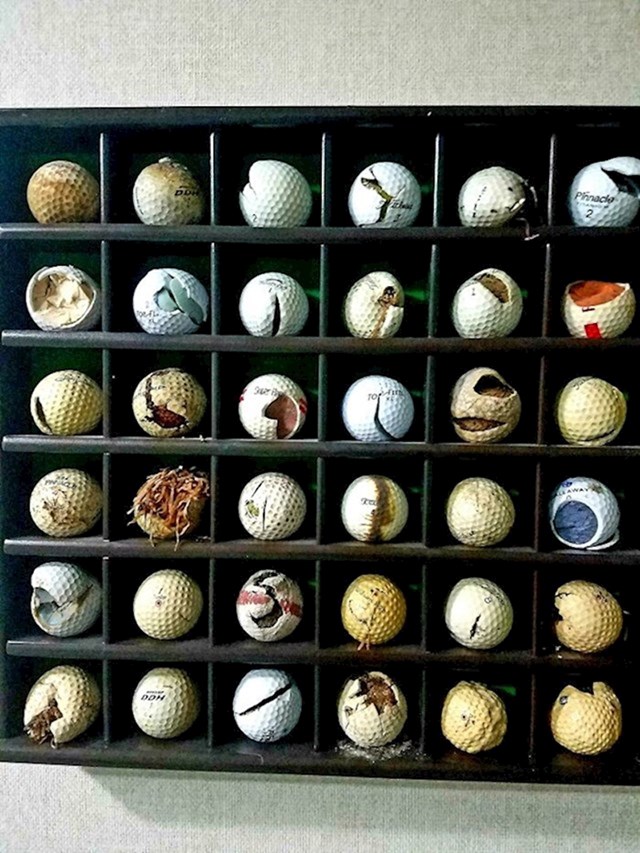 15. Kolekcija uništenih golf loptica