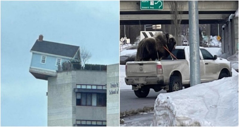 19 ljudi pokazali su rijetke i zanimljive prizore koji su ih fascinirali