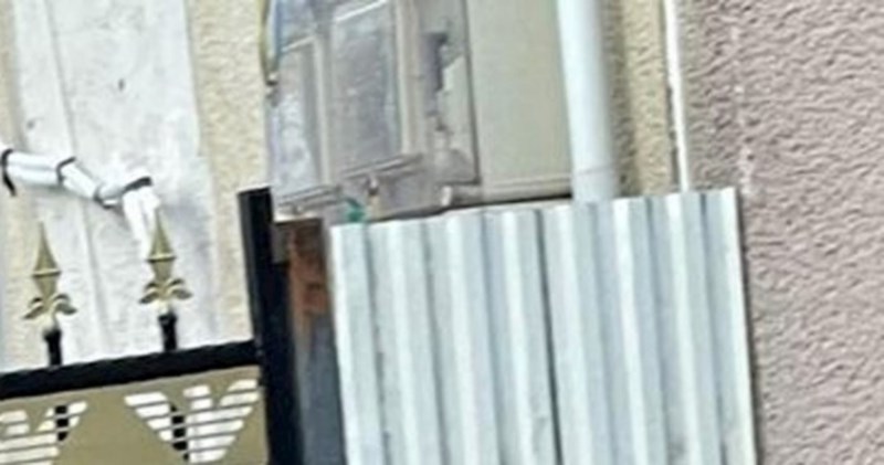 Prizor iz jednog dvorišta do suza je nasmijao ljude na Fejsu, odmah će vam biti jasno zašto