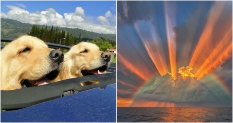 15 fotki iz kojih pršti čista pozitiva i nakon kojih ćete se odmah osjećati bolje