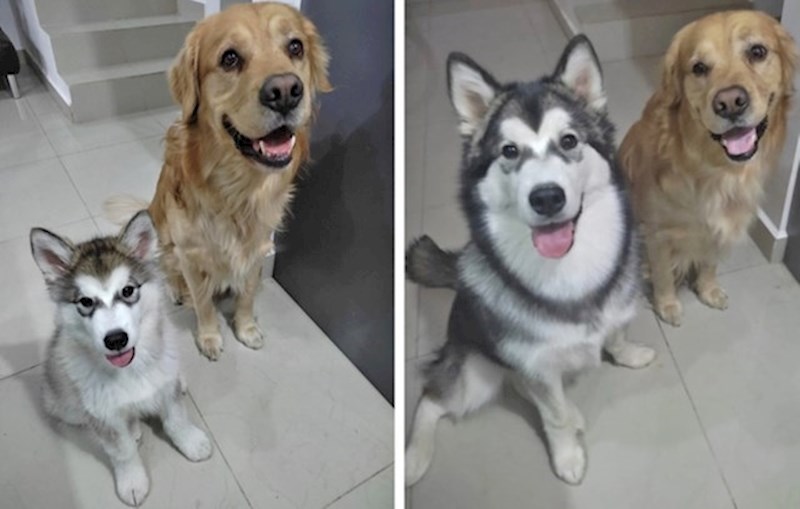 4. Mala seka je postala velika seka u samo 4 mjeseca