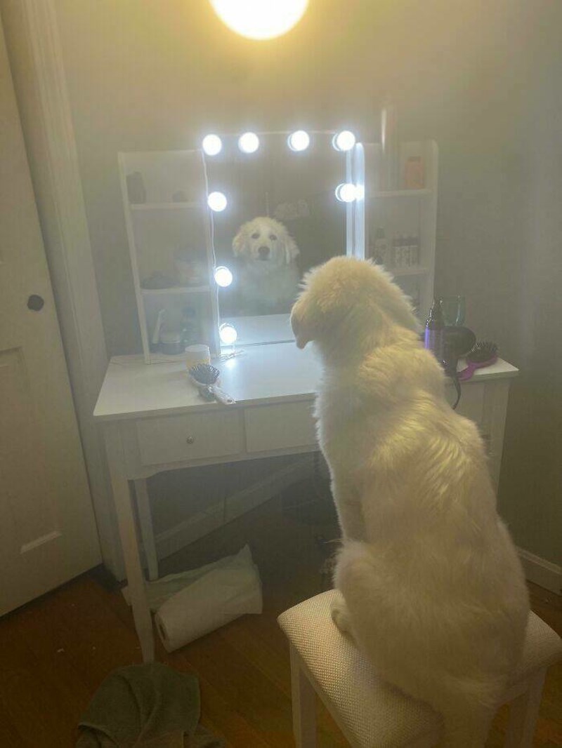 5. Ogledalce, ogledalce, reci najljepši na svijetku tko je?