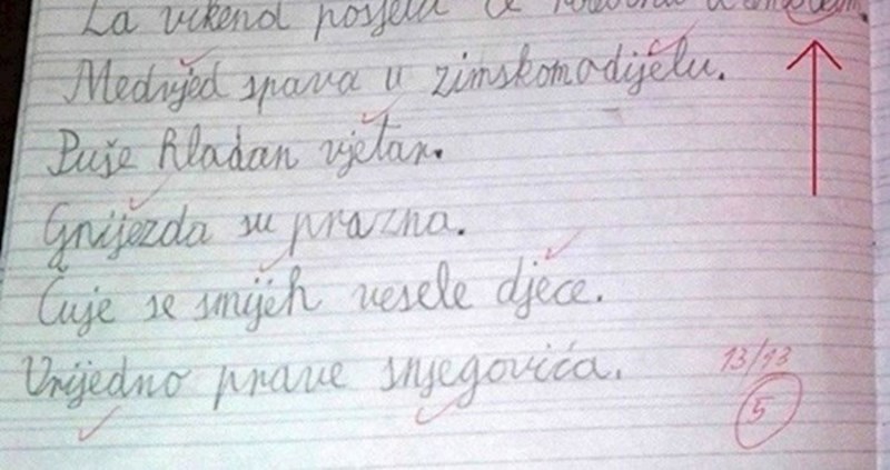 Dijete je napravilo grešku u diktatu, no učiteljica iz Imotskog nije imala srca prekrižiti ovu riječ