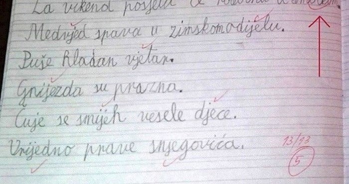 Dijete je napravilo grešku u diktatu, no učiteljica iz Imotskog nije imala srca prekrižiti ovu riječ
