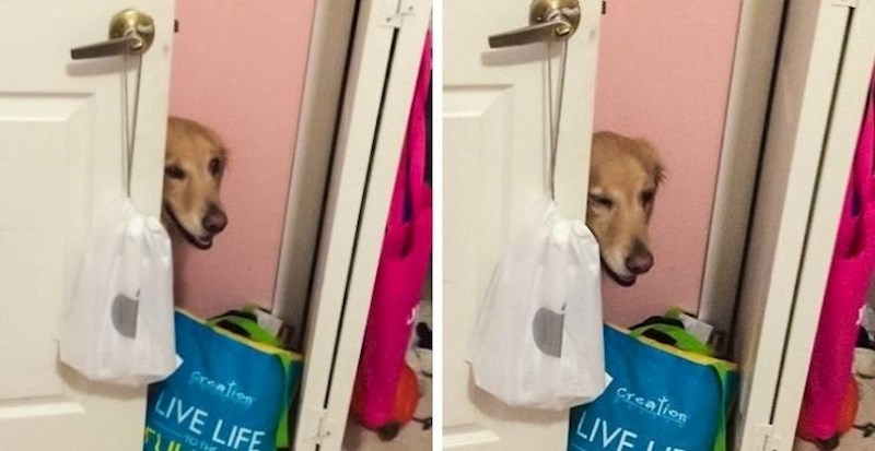 11. Otvorila je vrata, namignula mi i otišla