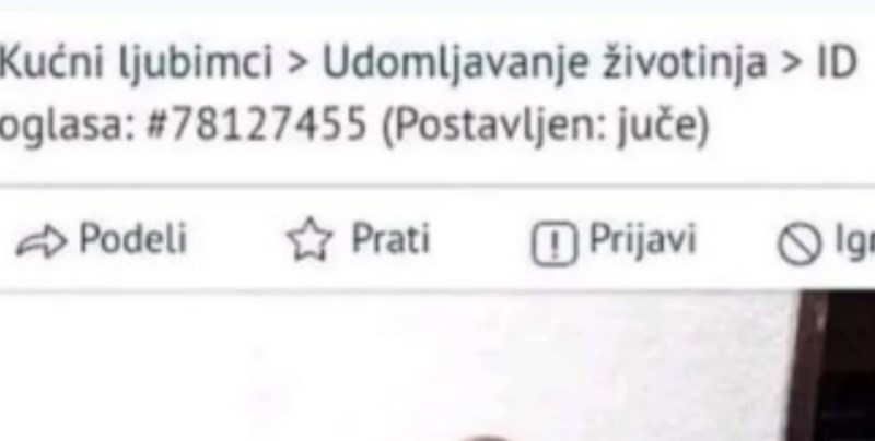 Žena je među oglasima za udomljavanje životinja pronašla bizarnu ponudu, fotka je teški hit