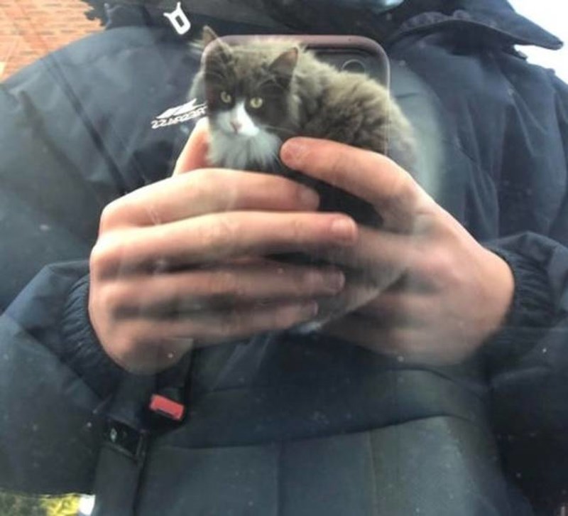 2. Kakve su ovo vradžbine? 😂